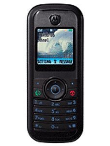Motorola W205
